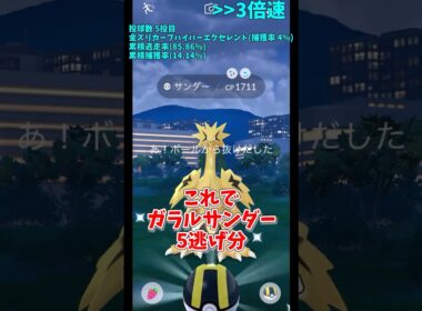 ガラルサンダー色違いは何回目の金ズリハイパーで捕まる！？#shorts #ポケモンgo