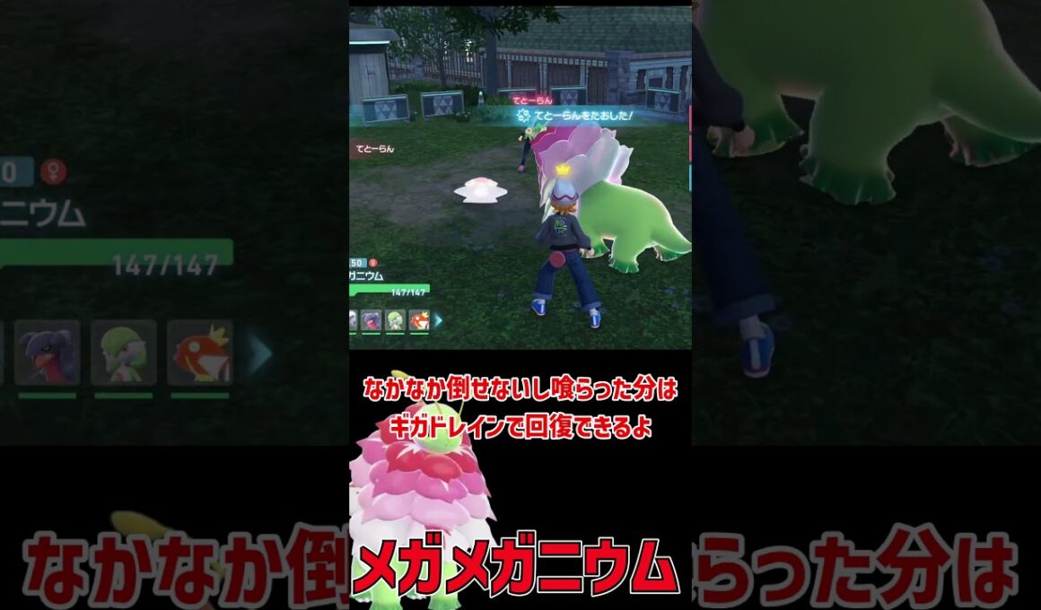 ついに登場 メガメガニウム！