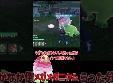 ついに登場 メガメガニウム！