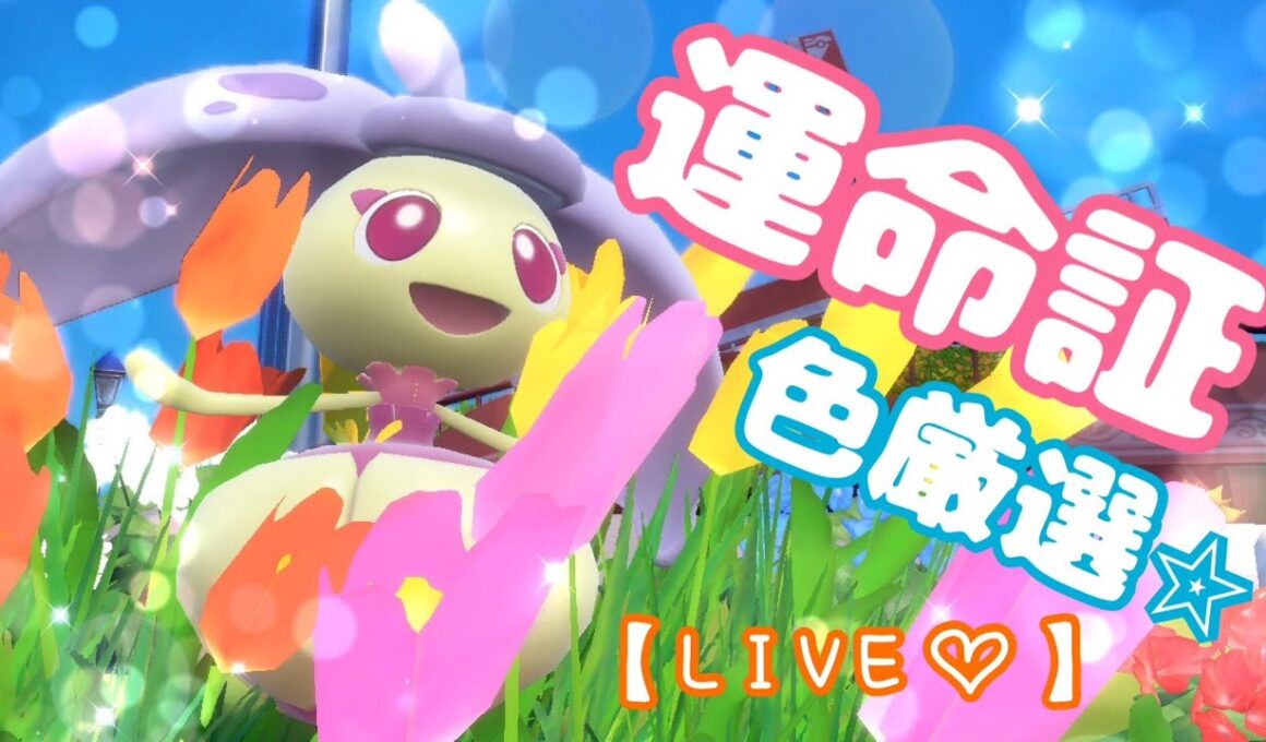 【初見歓迎】誕生日、運命色証を探す配信☆【ポケモンSV】