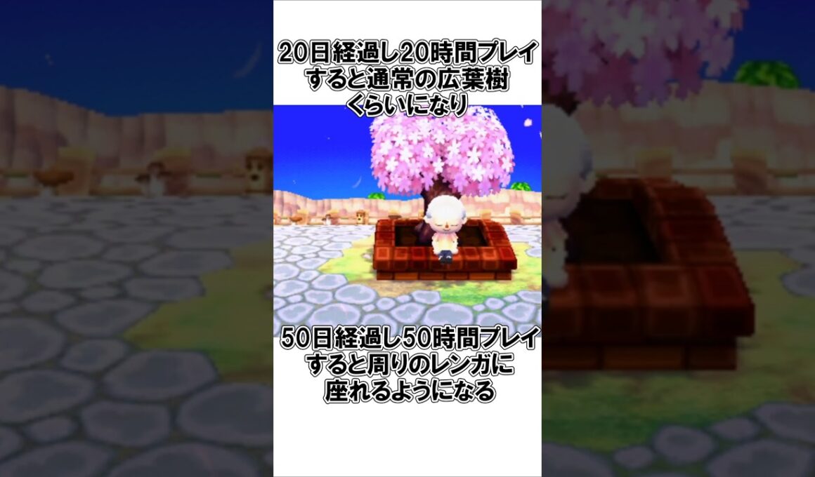 シンボルツリーに関する雑学#どうぶつの森 #雑学 @ほのげ