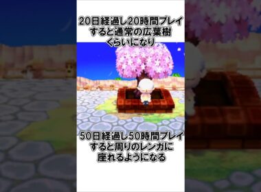 シンボルツリーに関する雑学#どうぶつの森 #雑学 @ほのげ