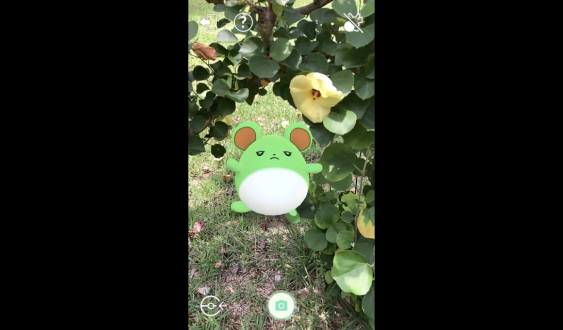 #Shorts【ポケGO】AR動画｜PoKeMoN GO AR｜183マリル｜Marill｜184マリルリ｜Azumarill｜ShinyPokémon ｜土潤溽暑｜淡路ふれあい公園｜ハマボウ