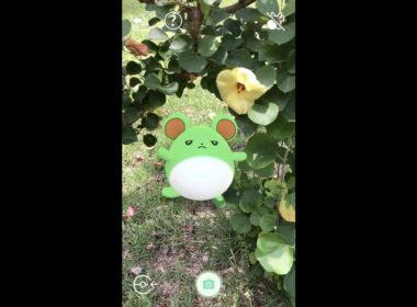 #Shorts【ポケGO】AR動画｜PoKeMoN GO AR｜183マリル｜Marill｜184マリルリ｜Azumarill｜ShinyPokémon ｜土潤溽暑｜淡路ふれあい公園｜ハマボウ
