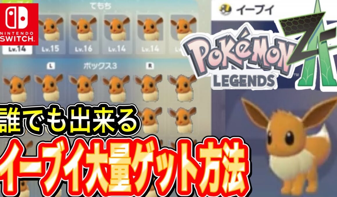 徹底解説【ポケモンZA】誰でも簡単にイーブイを大量ゲットする方法