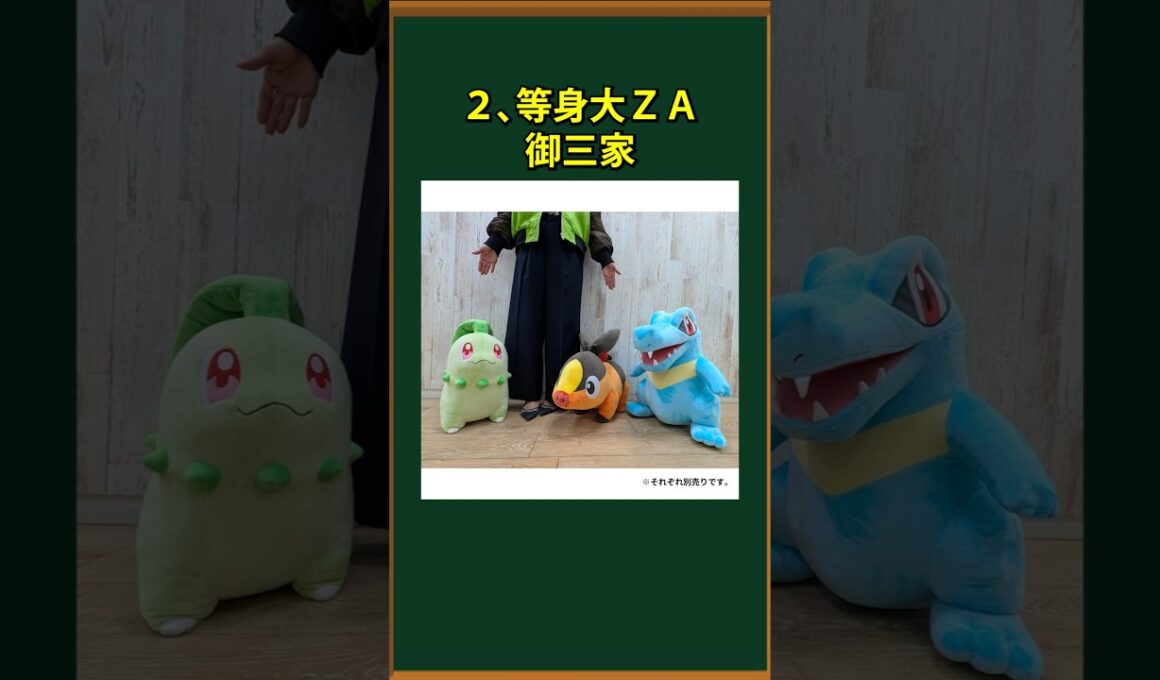 【ポケモン】ヤバイ公式ポケモングッズ3選㊼