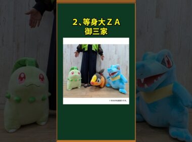 【ポケモン】ヤバイ公式ポケモングッズ3選㊼