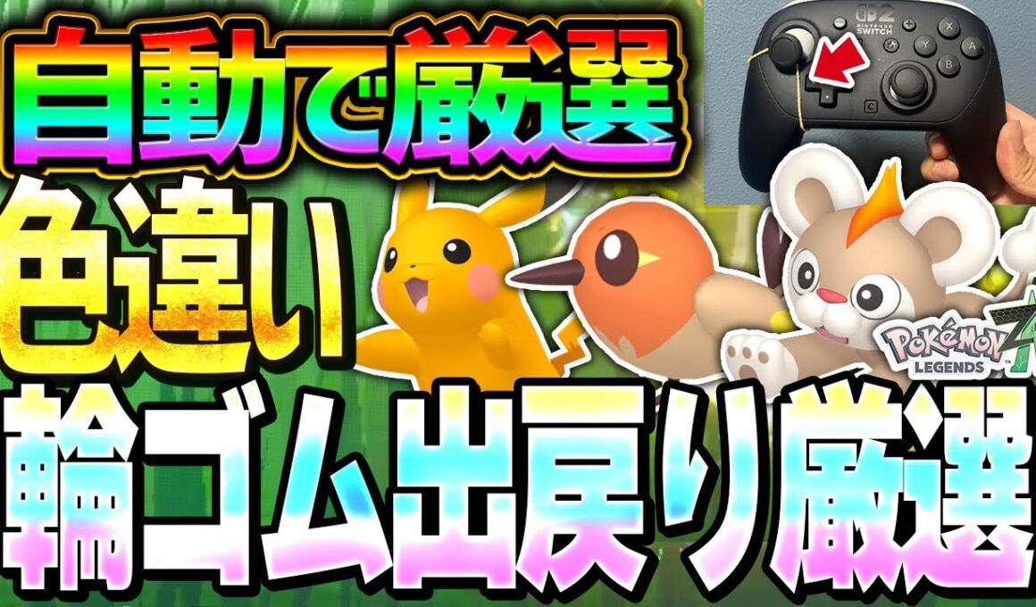 【レジェンズZA】輪ゴム固定での自動色違い厳選法を丁寧に解説！【ピカチュウ ヤヤコマ シシコ】