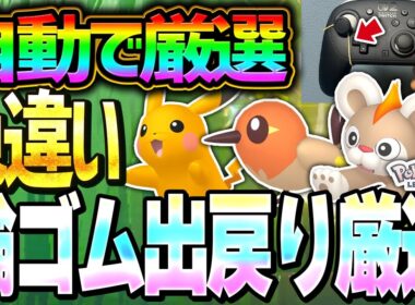 【レジェンズZA】輪ゴム固定での自動色違い厳選法を丁寧に解説！【ピカチュウ ヤヤコマ シシコ】