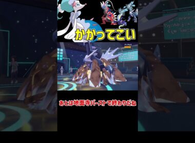 次々と伝説を倒す アシレーヌ