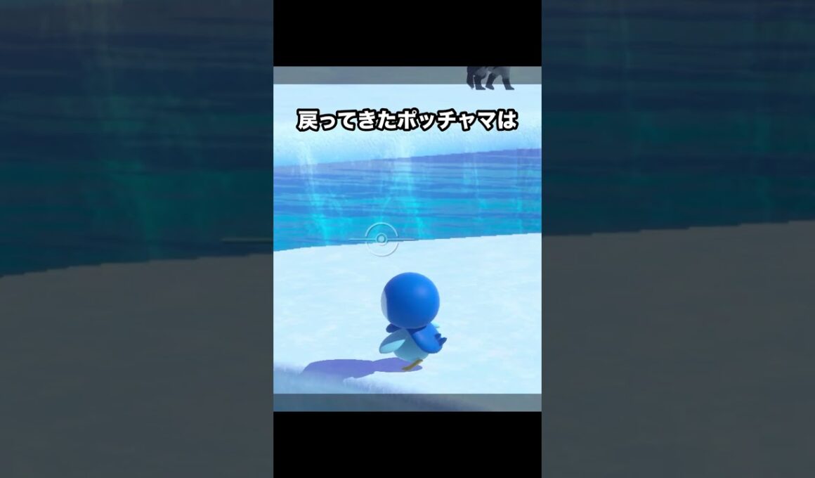 宝物を見つけたポッチャマ #ポケモン #newポケモンスナップ