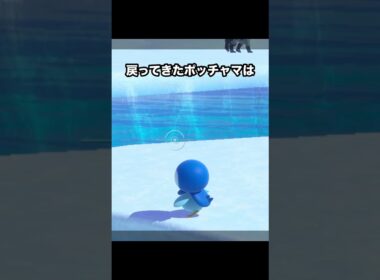宝物を見つけたポッチャマ #ポケモン #newポケモンスナップ