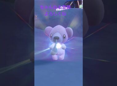 色違いクマシュン進化 #ポケモン #ポケモンsv #色違いポケモン