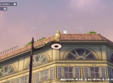 【ZA】自分をメガピジョットだと思い込んでる色違いポッポ【ポケモンレジェンズZA】【PLZA】