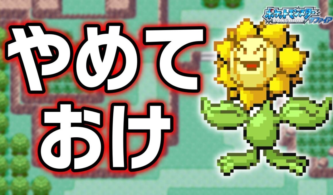 キマワリLv.5で冒険始めたらルビサファはキツい？ヌルい？