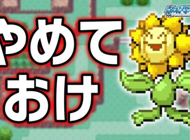 キマワリLv.5で冒険始めたらルビサファはキツい？ヌルい？