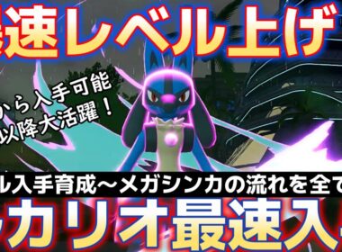 【ポケモンZA】序盤可で中盤以降大活躍！爆速レベル上げ方法＆最速ルカリオ入手方法、育成～メガシンカの全流れを紹介【ポケモンレジェンズZA】【Switch2】