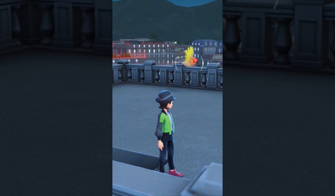 火の鳥もキラリン！色違いヤヤコマ親分【ポケモンレジェンズZA】#ポケモンza  #pokemon #色違い #pokemonlegendsza #shorts