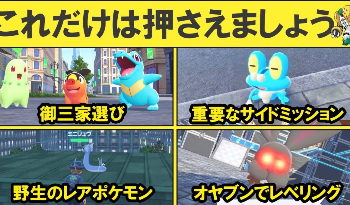 ZA序盤で絶対に押さえておきたいこと