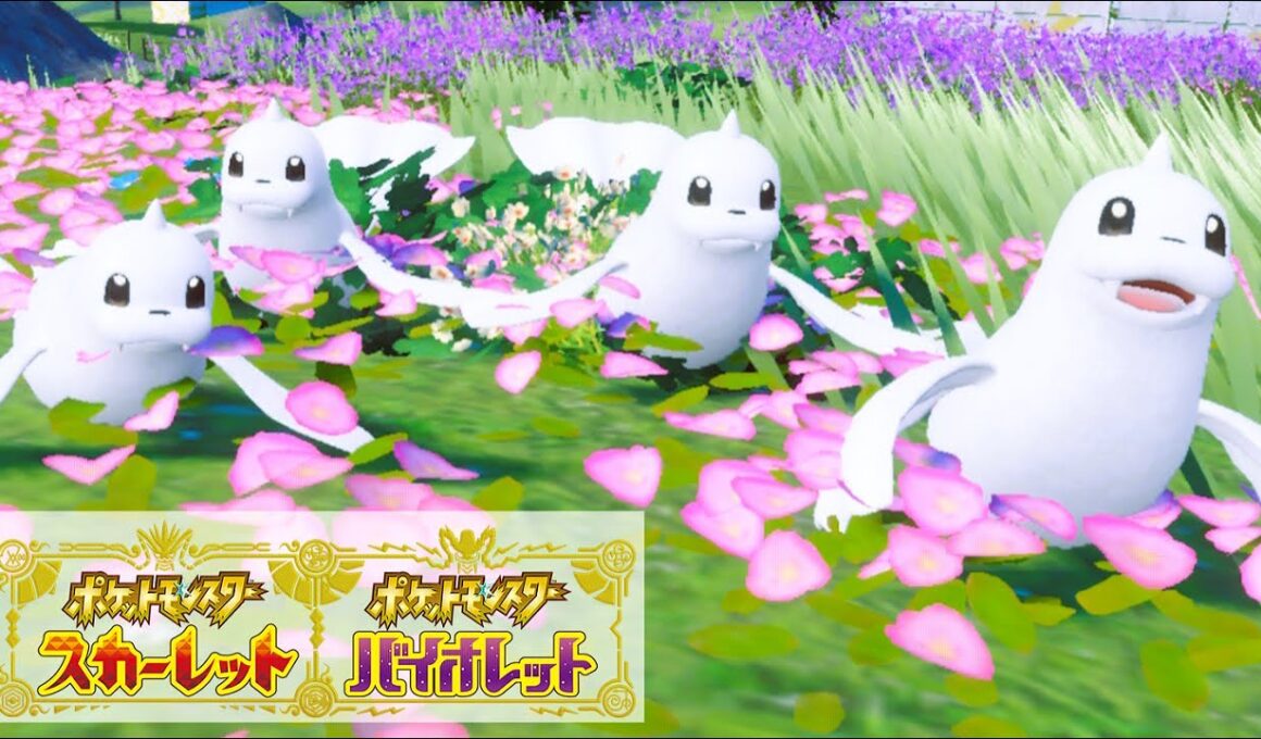 ジュゴン６匹に囲まれて癒されピクニック【ポケモンSV】