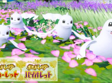 ジュゴン６匹に囲まれて癒されピクニック【ポケモンSV】