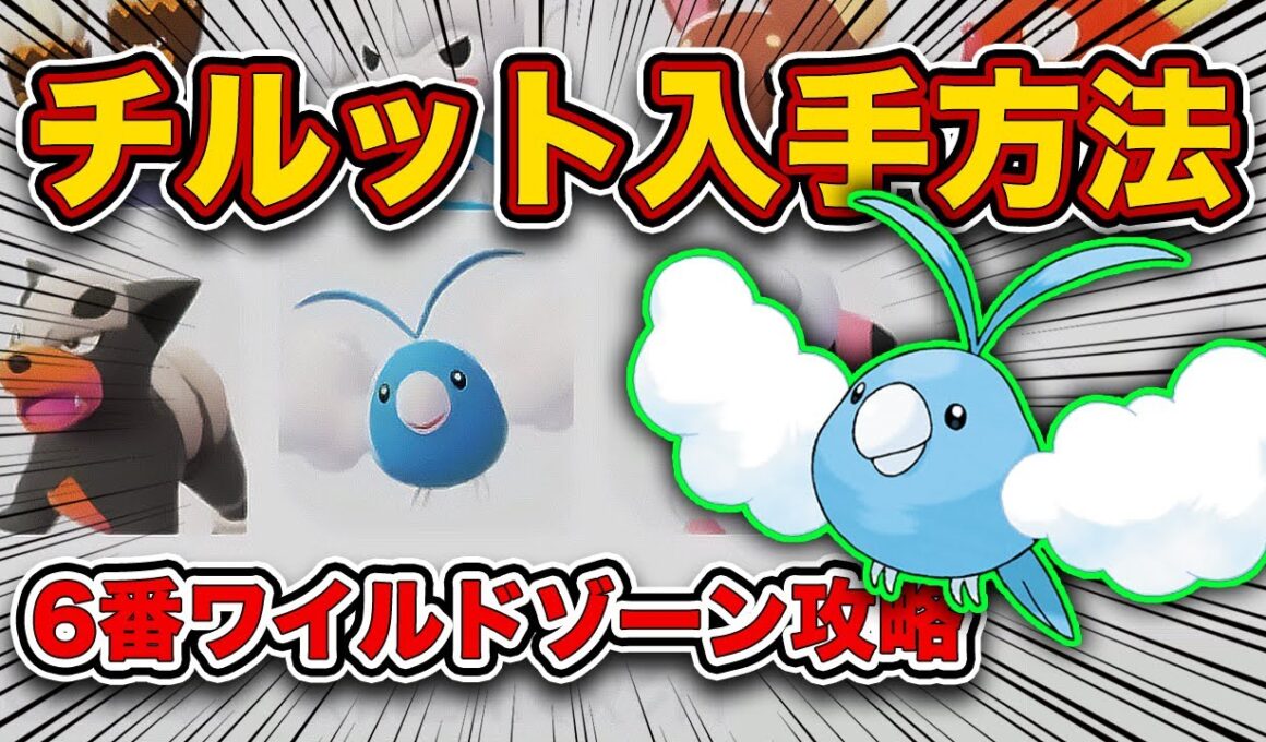 【ポケモンZA】チルット、オヤブンピカチュウ入手方法！6番ワイルドゾーン徹底攻略！【レジェンズZA】