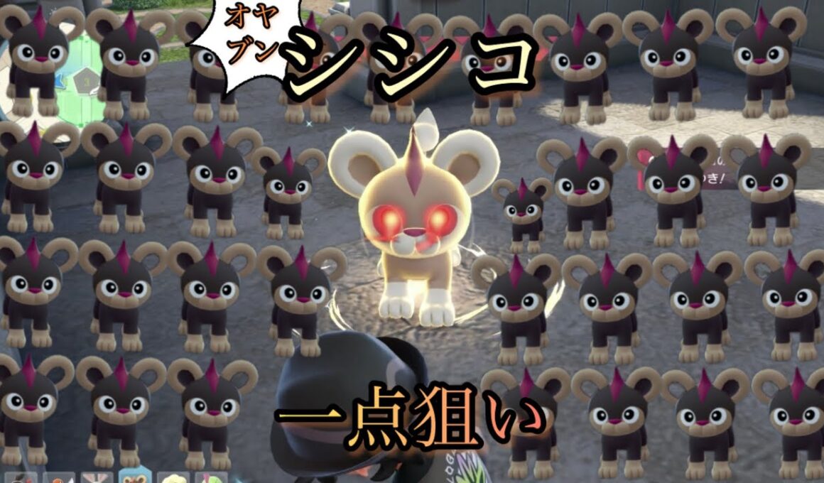 シシコのオヤブンの色違い何時間でくるかやってみた結果っ【ポケモンレジェンズＺA】