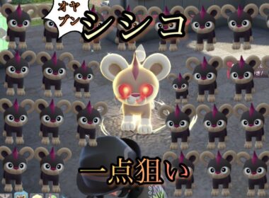 シシコのオヤブンの色違い何時間でくるかやってみた結果っ【ポケモンレジェンズＺA】