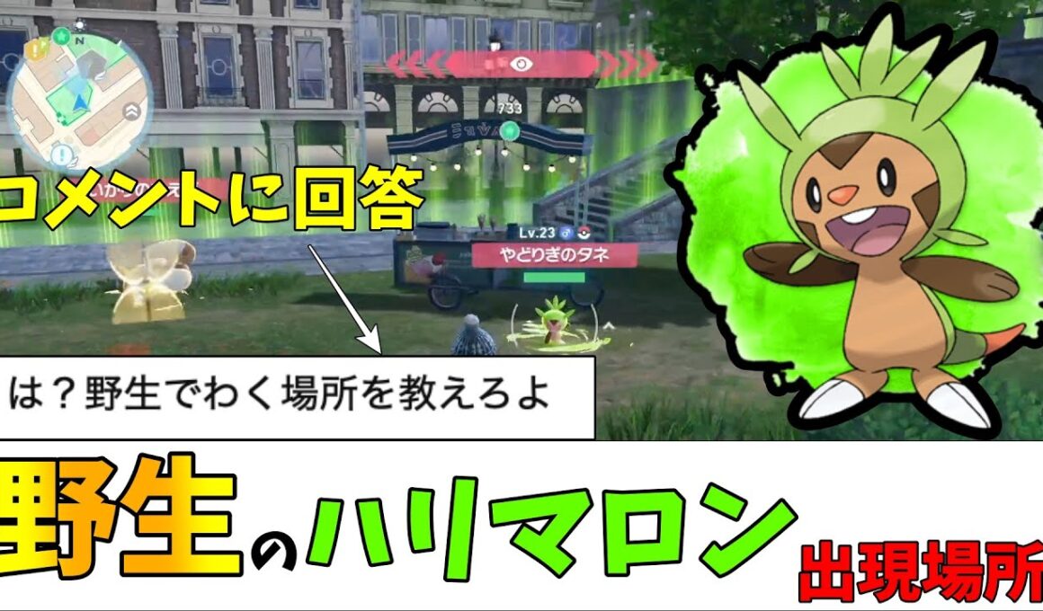 【ポケモンZA】コメントにお答え！野生のハリマロン出現場所（ストーリー後半）