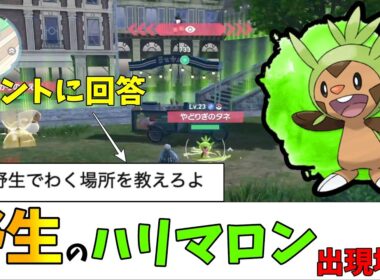 【ポケモンZA】コメントにお答え！野生のハリマロン出現場所（ストーリー後半）