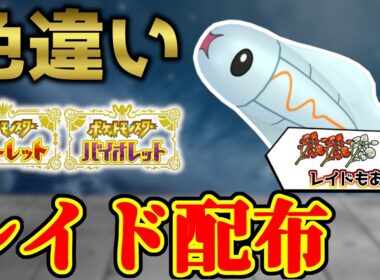 【色違いレイド配布】 色シビシラス＋スパイスレイド 色レイド配布 shiny raid 【ポケモンSV】#参加型配信