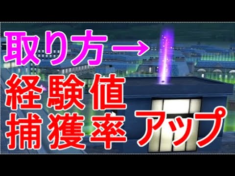 【ポケモンZA】経験値・捕獲率アップのアイテム入手場所カラフルなネジ交換所ロトムグライド空を飛ぶ実況