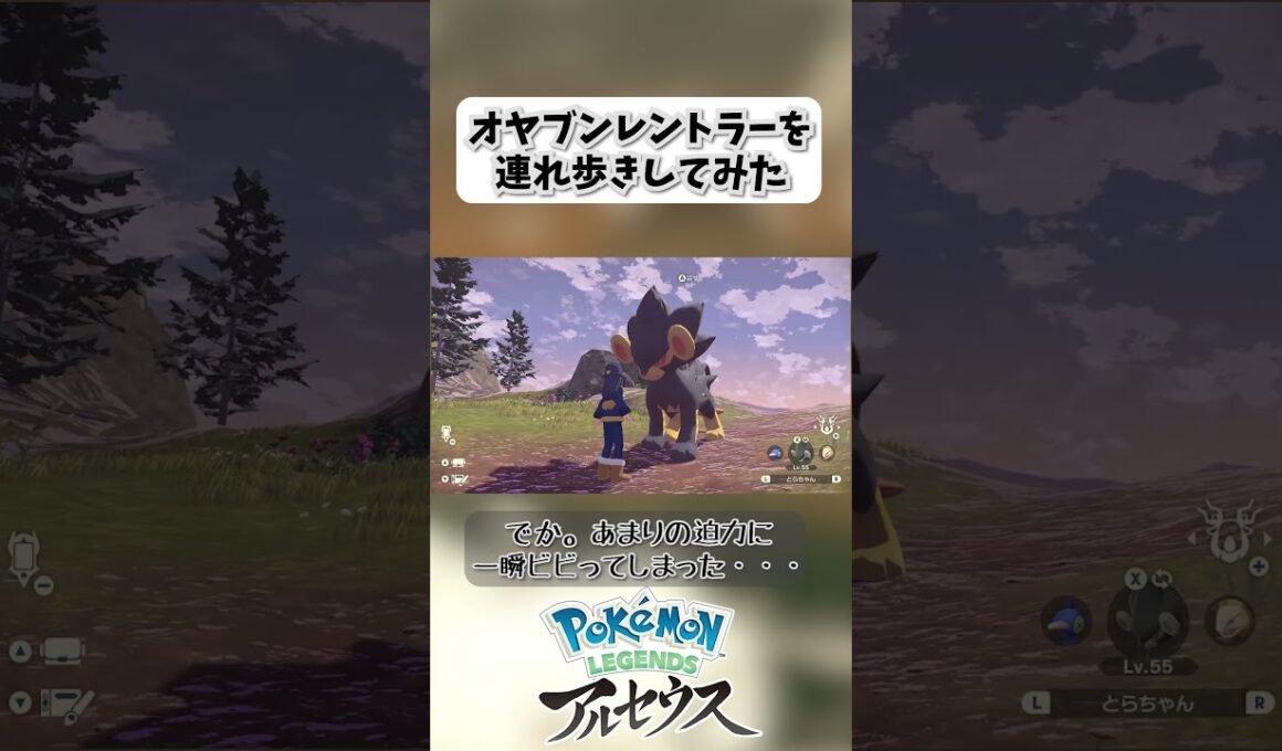 オヤブンレントラーを連れ歩きしてみた【legendsarceus】 #shorts  #legendsarceus  #レントラー #オヤブン #色違い