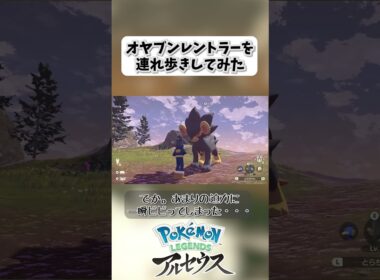 オヤブンレントラーを連れ歩きしてみた【legendsarceus】 #shorts  #legendsarceus  #レントラー #オヤブン #色違い