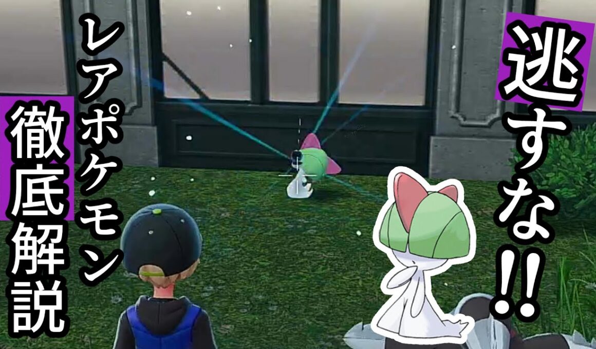 【ポケモンZA】ラルトス・シュシュプ・ヤンチャムを逃すな！レアポケモン徹底解説【第2弾】