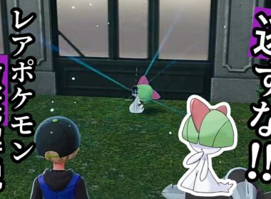 【ポケモンZA】ラルトス・シュシュプ・ヤンチャムを逃すな！レアポケモン徹底解説【第2弾】