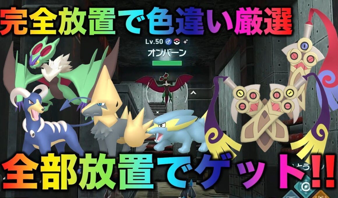 【完全放置可能】ニダンギル・オンバーン・ライボルト・ヘルガー編!!【ポケモンZA】