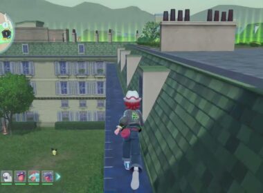 【ポケモンZA】ワイルドゾーン1のピチューとポッポを捕まえるルート