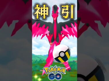 ガラルファイヤーで神引きを・・!?【ポケモンGO】【PokemonGO】
