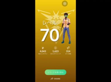 【ポケモンGO】再スタート！メガボーマンダソロレイド！