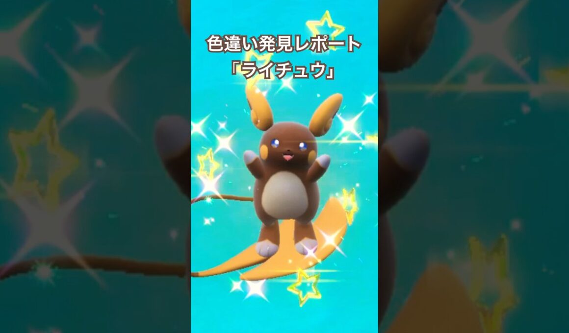 ポケモンSV 色違い発見レポート「アローラライチュウ」 #ポケモンsv色違い #ライチュウ　#アローラ