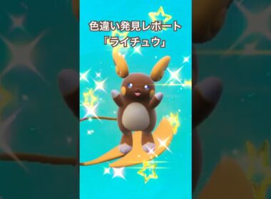 ポケモンSV 色違い発見レポート「アローラライチュウ」 #ポケモンsv色違い #ライチュウ　#アローラ