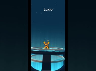 PokeGOThy Shiny Shinx Evolved into Shiny Luxio ✨ | Pokemon GO Shorts