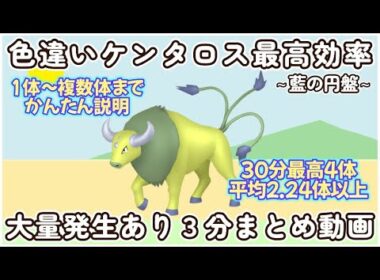 色違いケンタロス最高効率３分まとめ最高４体平均2.24体以上 #ポケモンsv #最高効率 #色違い #ケンタロス #藍の円盤
