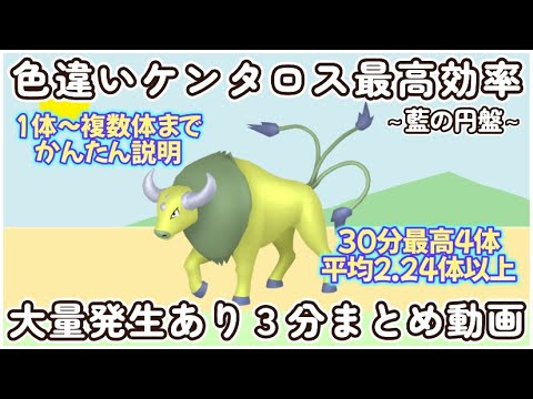 色違いケンタロス最高効率３分まとめ最高４体平均2.24体以上 #ポケモンsv #最高効率 #色違い #ケンタロス #藍の円盤