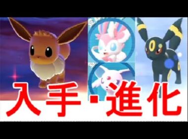 【ポケモンZA】イーブイ出現入手場所ニンフィア・エーフィ・ブラッキー進化方法【レジェンズZA】攻略実況