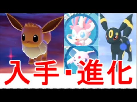 【ポケモンZA】イーブイ出現入手場所ニンフィア・エーフィ・ブラッキー進化方法【レジェンズZA】攻略実況