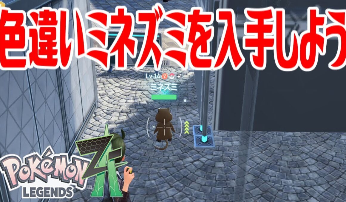 【ポケモンZ-A】色違いミネズミを入手しよう【Pokémon LEGENDS Z-A】