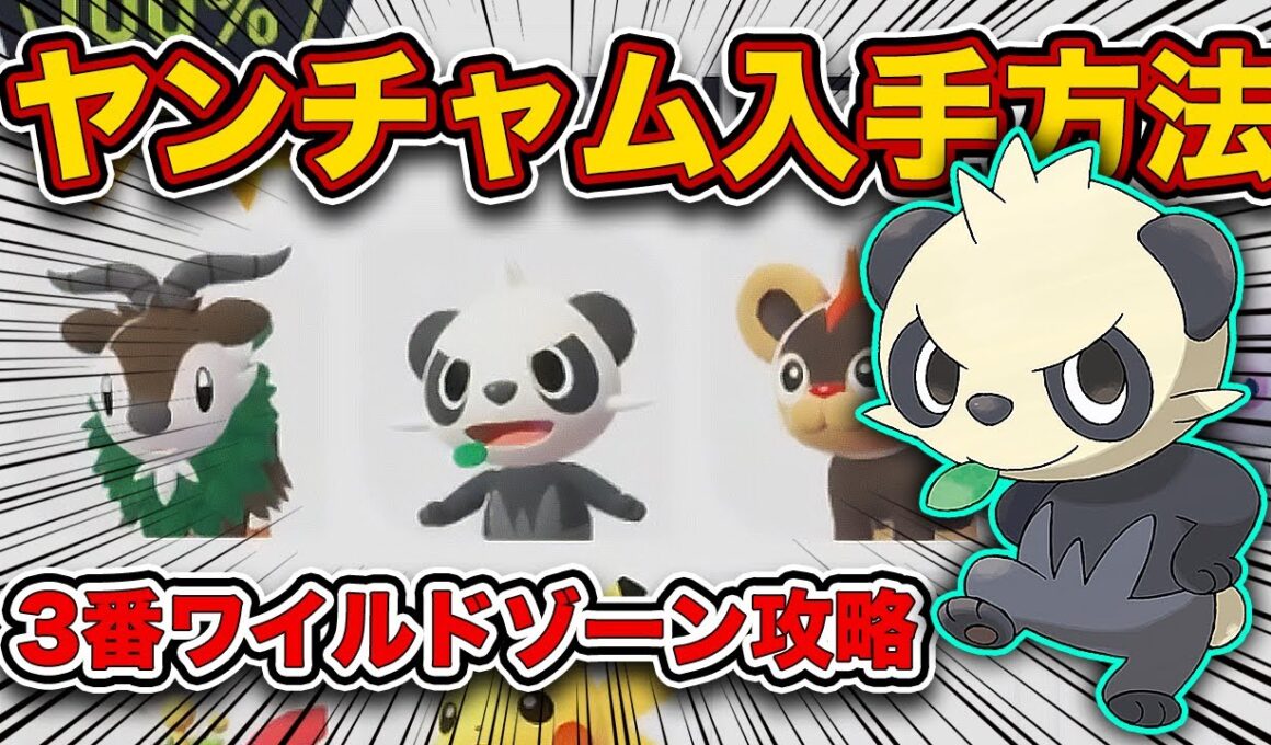 【ポケモンZA】ヤンチャム入手方法！3番ワイルドゾーン徹底攻略！【レジェンズZA】