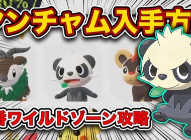【ポケモンZA】ヤンチャム入手方法！3番ワイルドゾーン徹底攻略！【レジェンズZA】